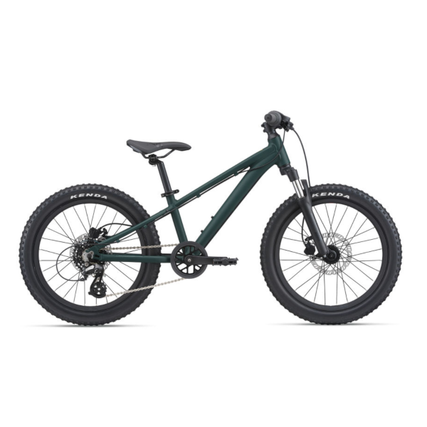 Giant STP 20"